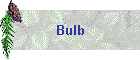 Bulb