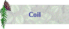 Coil